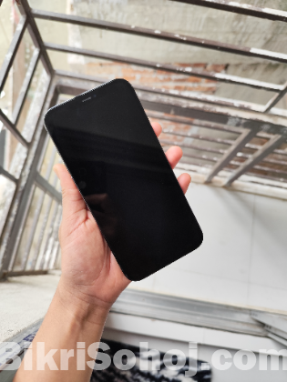 iPhone 12 pro max